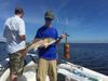Tampa_Fishing_Charter_and_Guide_Shallow_Point_Fishing_Charters_813-758-3406.jpg