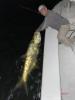 Tampa_Fly_Fishing_Charters1.jpeg