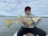 Tampa_Topwater_Snook.jpeg