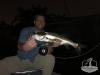 Tampa_bay_Fly_Fishing_Dock_light_Snook.jpg