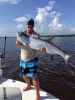 Tarpon11.jpg