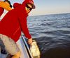 Tarpon15.jpg