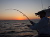 Tarpon_2008_023.jpg