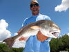 Tarponlodgebullred.JPG