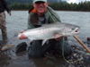 Terrace_BC_Steelhead.jpg