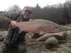 Terrace_BC_Steelhead1.jpg