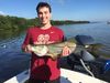 Top_of_Slot_Snook_32_75_Inches_Measured_by_FWC.jpg