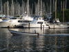 Trinidad_Marina-2.JPG