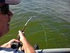 UGLY_STIK_STRIPER_ROD-1.jpg