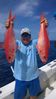 WP_20140727_15_56_49_Pro.jpg