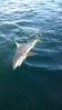 WP_20140730_08_29_23_Pro.jpg