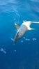WP_20141016_10_25_48_Pro.jpg