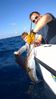 WP_20150407_003.jpg