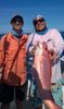 WP_20150416_002.jpg