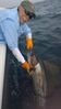 WP_20160328_001.jpg
