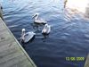 Walt_12-09-09008.JPG