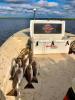 Whiskey_Bayou_Charters_Catching_Redfish_in_Delacroix_LA_2.jpg