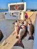 Whiskey_Bayou_Charters___Fishing_Report___Chasing_Redfish_Around_the_Marsh_4.jpg