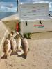 Whiskey_Bayou_Charters___Fishing_Report___Early_Morning_Fishing_in_the_Delacroix_Marsh_3.jpg