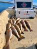 Whiskey_Bayou_Charters___Fishing_Report___Fishing_for_Reds_in_the_Marsh___3.jpg