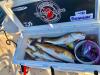 Whiskey_Bayou_Charters___Fishing_Report___Great_Saturday_for_Fishing_5.jpg