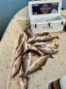 Whiskey_Bayou_Charters___Fishing_Report___Hunting_for_Redfish_8.jpg