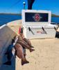 Whiskey_Bayou_Charters___Fishing_Report___Redfish_in_the_Cold___3.jpg