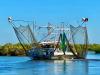 Whiskey_Bayou_Charters___Fishing_Report___Redfishing_Vacation_3.jpg