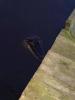Whiskey_Bayou_Charters___Fishing_Report___Stormy_Day_Fishing_3.jpg
