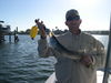 Winter_Snook_004.JPG