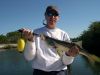 Winter_Snook_IV_001.JPG