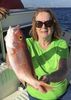 Yellow-eye-snapper-IMG_0702.jpg