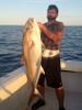 amberjack2.jpg