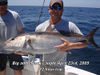 amberjack_4_23_09.jpg