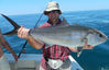 amberjack_5_18_11.jpg