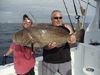 amberjack_black_grouper_005.JPG