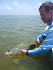 another_snook_release.jpg