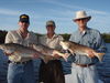 april_pics_001.jpg