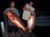 bahamas_036.jpg