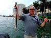 barracuda1.jpg