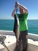 bcobia.jpg