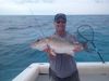 big_mangrove_snapper_florida_keys.JPG