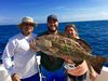 black-grouper2.jpg