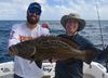 black-grouper3.jpg