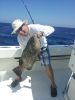 black_grouper_2.jpg