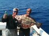 black_grouper_6510.jpg