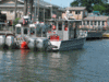 blacklabmarine_1997_459335.gif