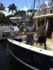 blue_marlin_039.JPG