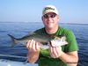 bluefish01.jpg