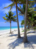 bocapailabeach.JPG